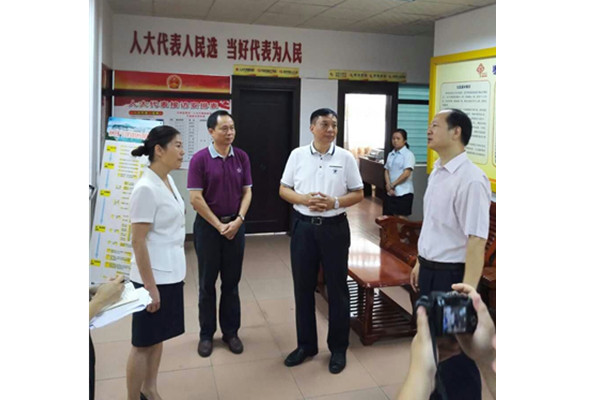 市領導到棗沖社區調研