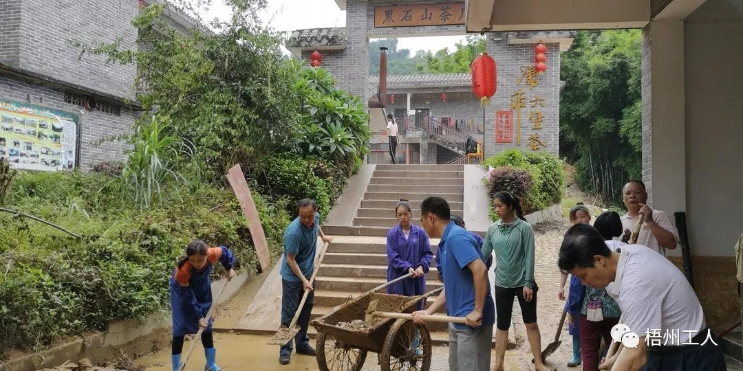工會為六堡鎮茶農災后恢復生產注入活力