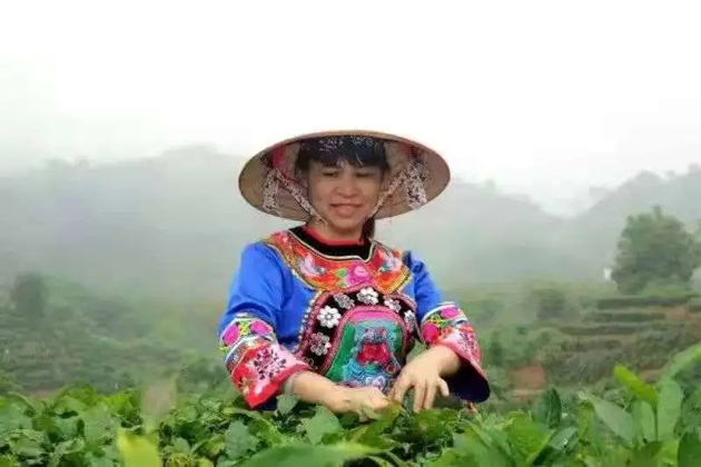 【梧州工匠】劉錦芳：鉆研和創新，帶領鄉親發家致富
