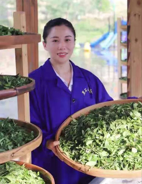 【梧州工匠】石濡菲：擇一茶，修一技，終一生