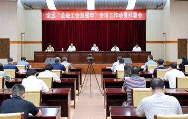 自治區總工會召開全區“縣級工會加強年”專項工作動員部署會