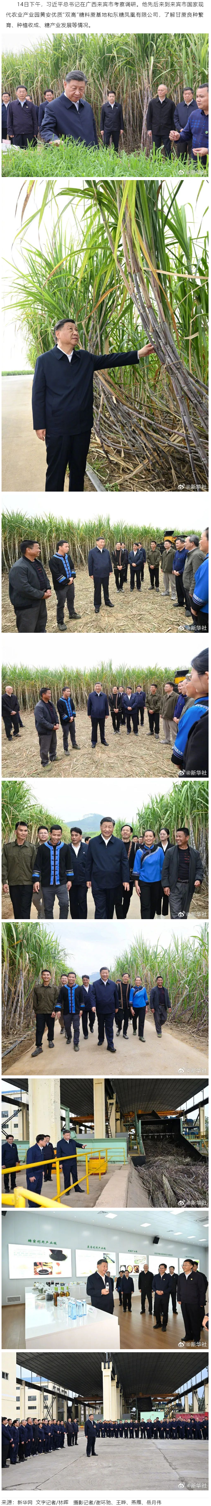 習近平在廣西來賓市考察調(diào)研.png