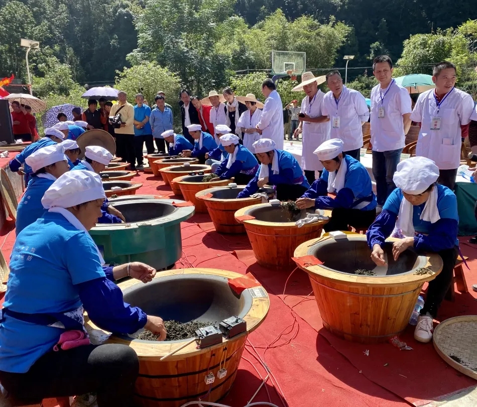 蒼梧縣總工會舉辦2020年村級傳統六堡茶制茶大賽