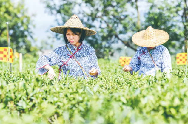 國家批復同意，梧州籌建！