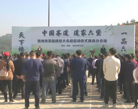 我市召開茶產業發展大會茶園建設現場會 吹響建設百萬畝茶園沖鋒號角