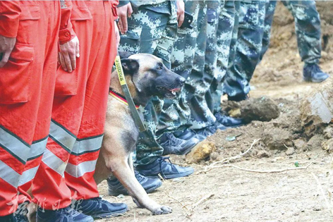 消防、武警、摩托車運輸隊等多方力量聯合搜救｜東航客機墜毀事故救援現場直擊