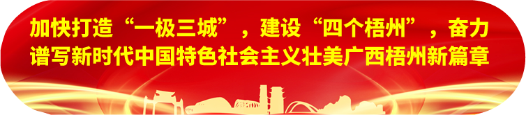 劉寧在梧州蒼梧縣蒙山縣岑溪市調研時強調：完整準確全面貫徹新發展理念，發揮優勢突出特色推動縣域經濟高質量發展