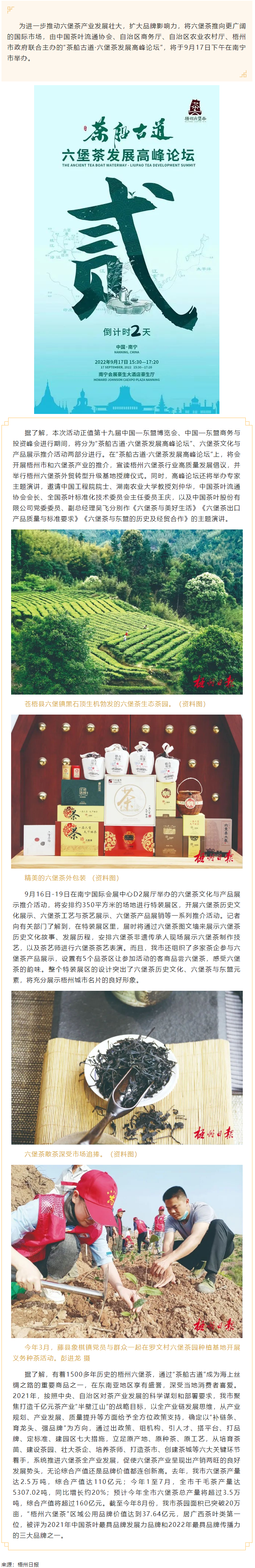 【媒體聚焦】品千年名茶韻味 論產業發展前景丨“茶船古道·六堡茶發展高峰論壇”將在南寧市舉辦.png