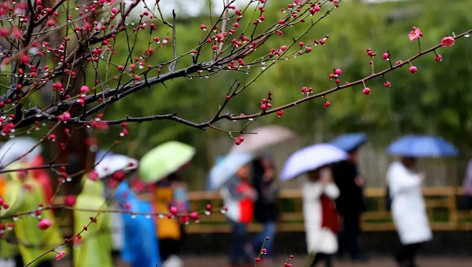 今日雨水！別忘了咱的老講究！