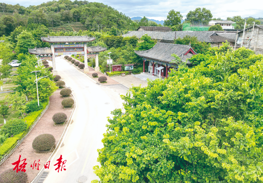 梧州全市生態(tài)茶園面積達(dá)33.34萬畝！