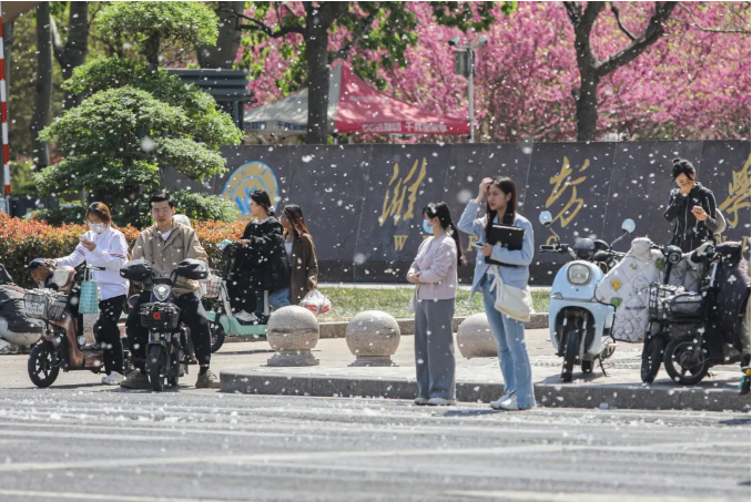 微信圖片_20240423164957.png
