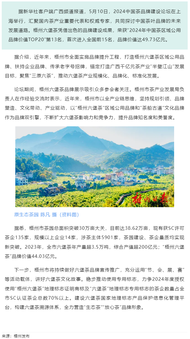 排名全國第13名！“梧州六堡茶”品牌價值實現新突破.png