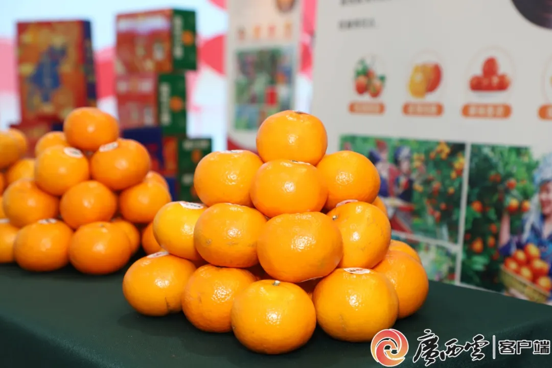 廣西日報5.jpg