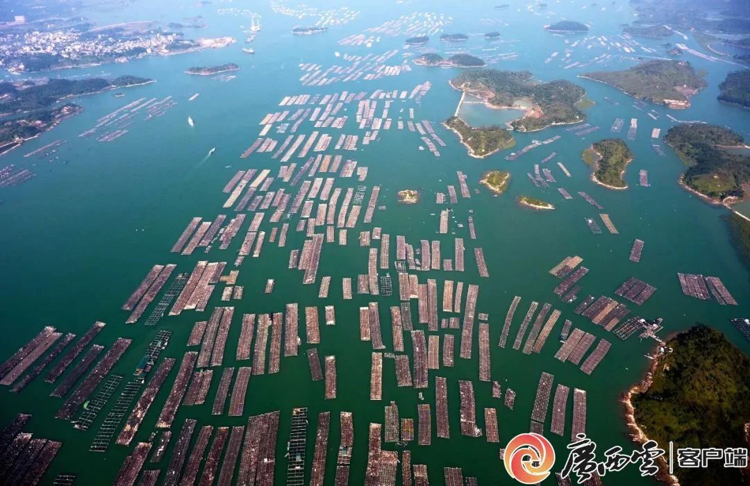 廣西日報9.jpg
