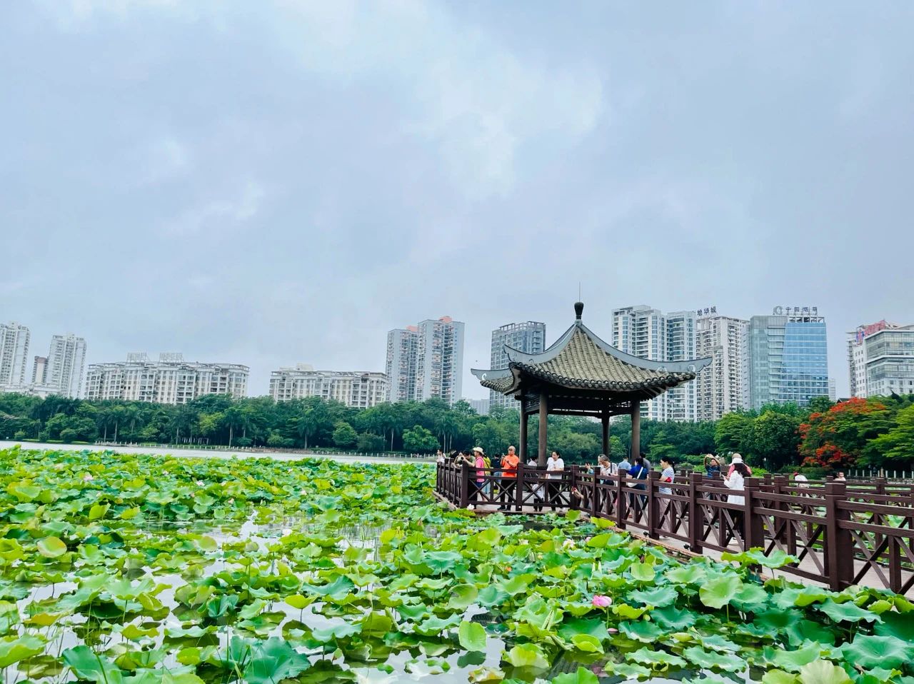 雨天1.jpg
