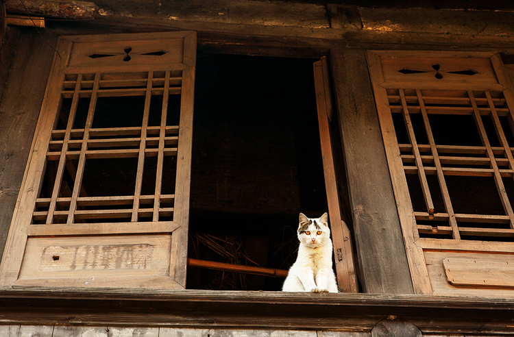 西崍古鎮(zhèn)1.jpg