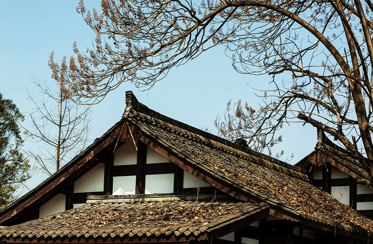 西崍古鎮(zhèn)4.jpg