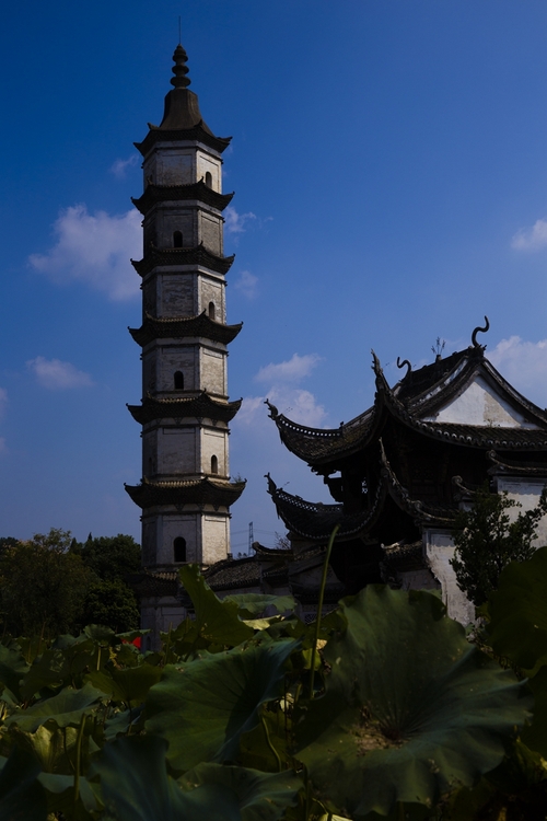 新葉古村